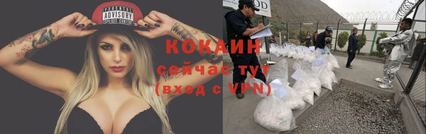 PSILOCYBIN Ладушкин