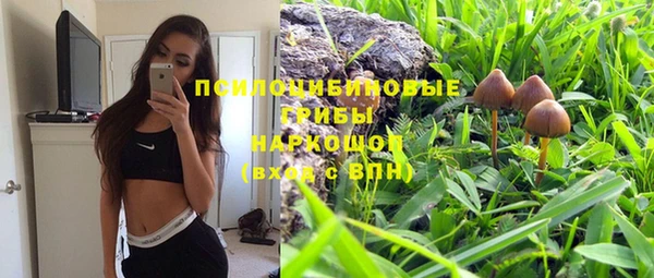 мдпв Лабытнанги