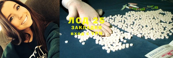 PSILOCYBIN Ладушкин