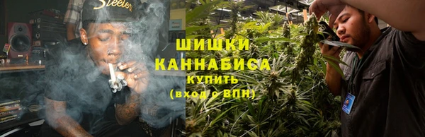 мдпв Лабытнанги