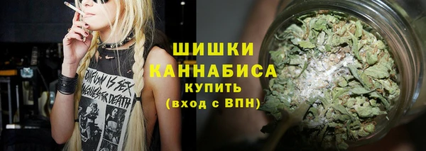 PSILOCYBIN Ладушкин