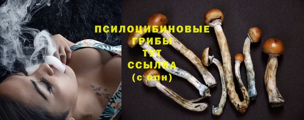 PSILOCYBIN Ладушкин