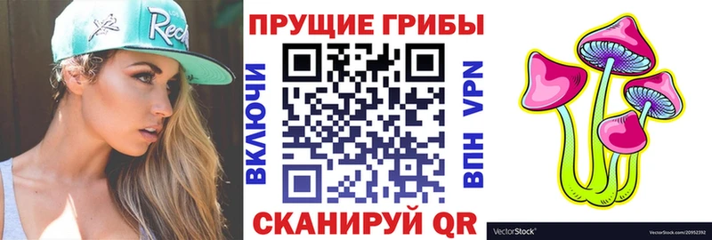 Купить где  Арск  Галлюциногенные грибы мицелий 